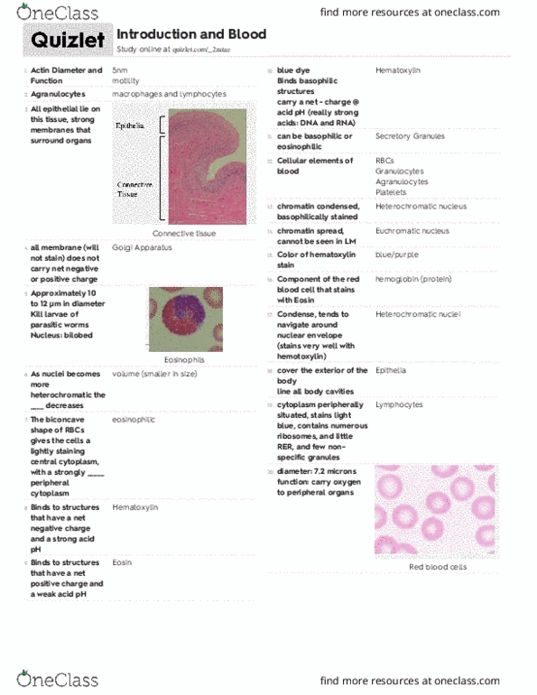 BIO 4430 Lecture Notes - Lecture 1: Fibroblast, Collagenase, Wnet thumbnail