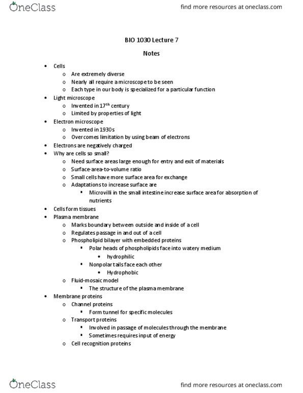 BIO 1030 Lecture Notes - Lecture 7: Cytoplasm, Cell Theory, Electron Microscope thumbnail