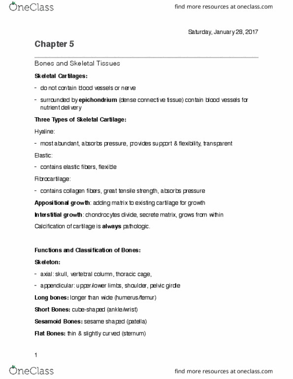 BSC 1085C Chapter 5: Chapter 5: Bones and Skeletal Tissue thumbnail