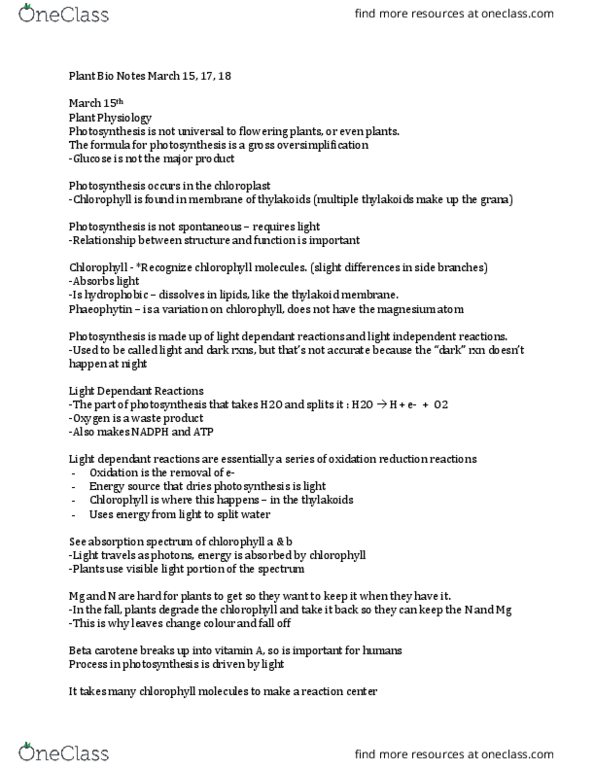 BIO 202 Lecture Notes - Lecture 13: Peroxisome, Cyanobacteria, Stoma thumbnail