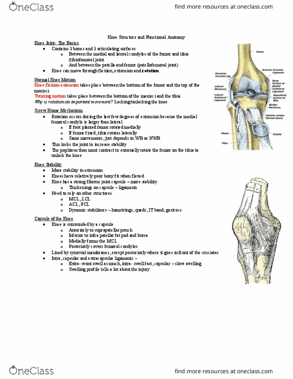 Kinesiology 3336A/B Lecture Notes - Lecture 7: Weight-Bearing, Hemarthrosis, Lateral Condyle Of Femur thumbnail