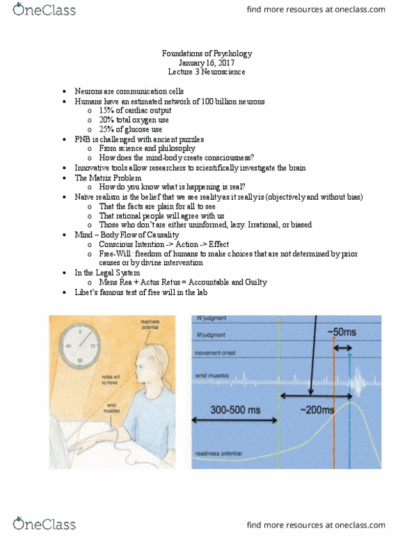 PSYCH 1XX3 Lecture Notes - Lecture 6: Cardiac Output thumbnail