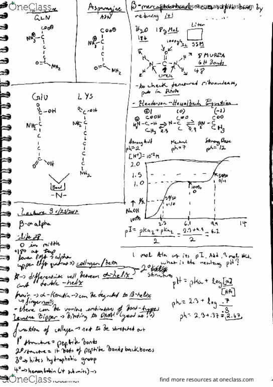 01:694:301 Lecture 4: Biochem lecture 3+4 thumbnail