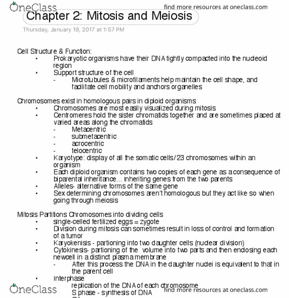 GENE 320 Chapter Notes - Chapter 2: Spermatid, Immature Ovum, Sporophyte thumbnail