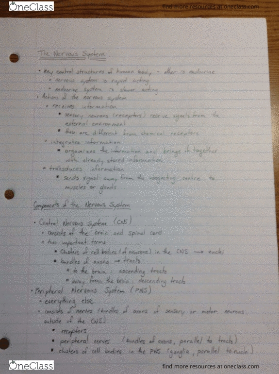 BIOL273 Lecture Notes - Lecture 3: List Of A Song Of Ice And Fire Characters, Nomic, Motor Neuron thumbnail