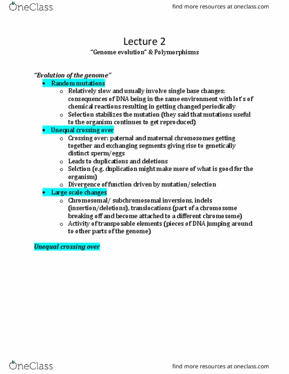 BIOB11H3 Lecture Notes - Lecture 2: Microtubule, Centromere, Fox Proteins thumbnail