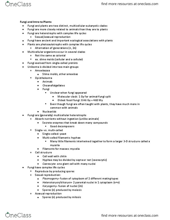 BSC 116 Lecture Notes - Lecture 5: Mycosis, Gametophyte, Phototroph thumbnail