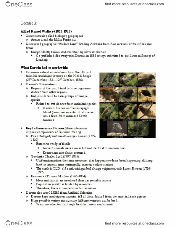 BIO 201 Lecture Notes - Lecture 3: Mendelian Inheritance, Ethidium Bromide, Dna Replication thumbnail