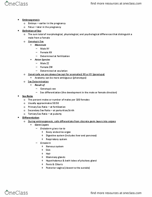 ANSC 3122 Lecture Notes - Lecture 4: Sex Cords, Urinary System, Cryptorchidism thumbnail