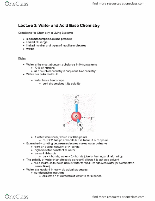 BIOSC 1000 Lecture Notes - Lecture 3: Carbonic Anhydrase, Hydronium, Acid Dissociation Constant thumbnail