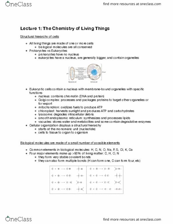 BIOSC 1000 Lecture Notes - Lecture 1: Inorganic Chemistry, Nitrogenous Base, Glycogen thumbnail