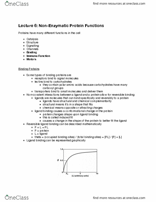 BIOSC 1000 Lecture Notes - Lecture 6: Structural Motif, Beta Sheet, Troponin thumbnail