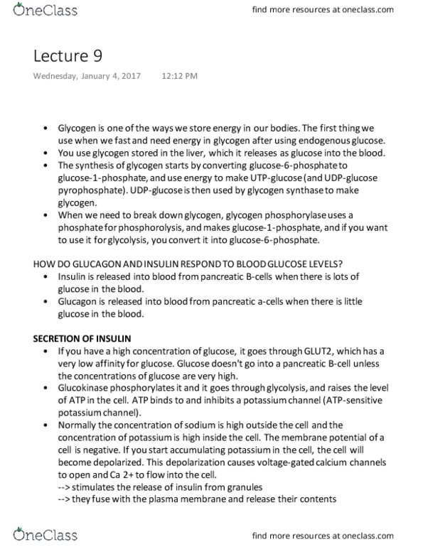 BIOC 406 Lecture Notes - Lecture 9: Bulgarian Lev, Ketone Bodies, Decoy thumbnail