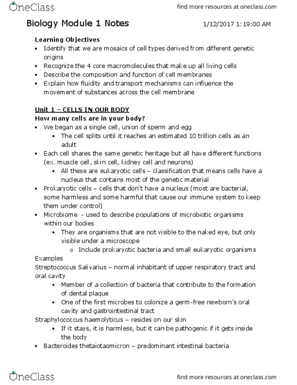 BIOLOGY 1A03 Lecture Notes - Lecture 1: Myocyte, Acetyl-Coa, Stearin thumbnail