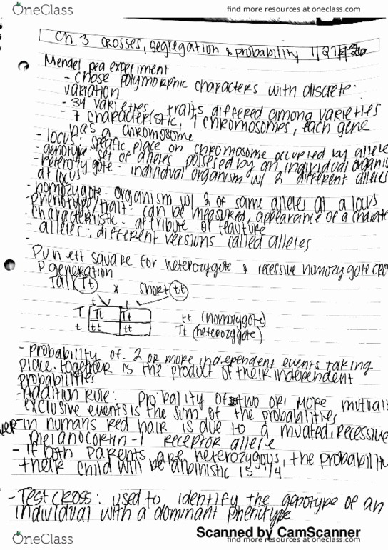 EBIO 2070 Lecture 6: Chapter 3: Crosses,Segregation, and Probability thumbnail