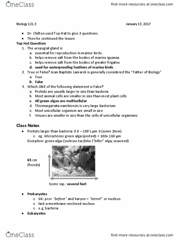 BIOL 121 Lecture Notes - Lecture 5: Uropygial Gland, Caulerpa, Unicellular Organism thumbnail