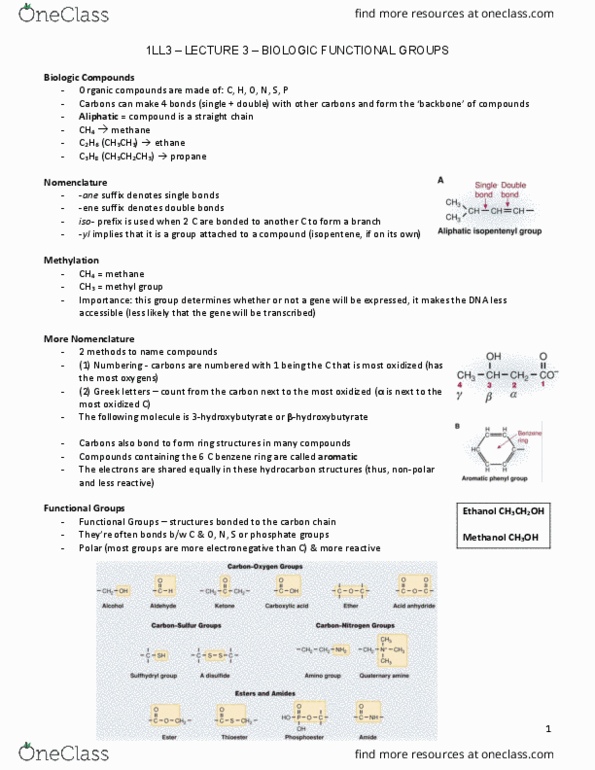 HTHSCI 1LL3 Lecture Notes - Lecture 3: Acetoacetic Acid, Carboxylic Acid, Methyl Group thumbnail