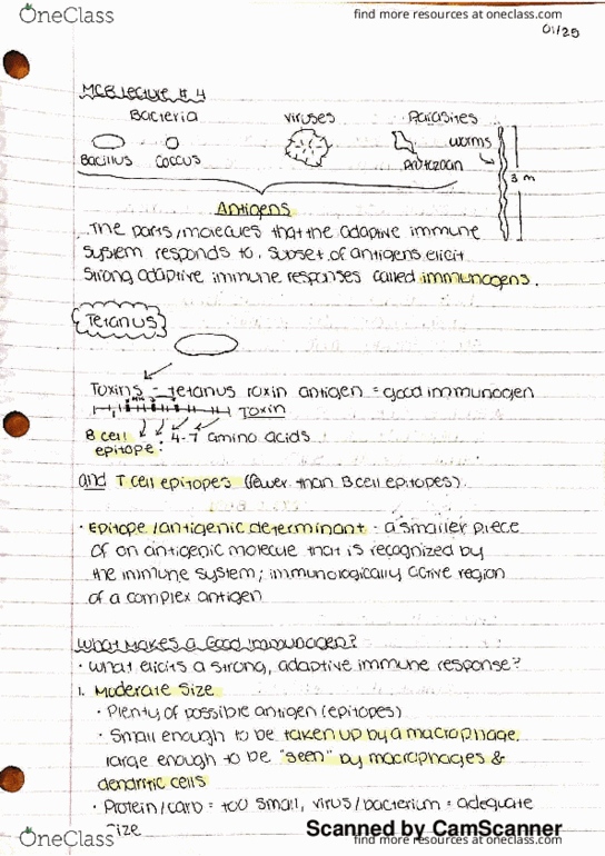 MCELLBI 50 Lecture 4: MCB 50 Lecture #4 thumbnail