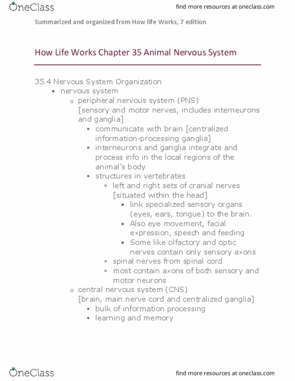 BIOLOGY 152 Chapter Notes - Chapter 35: Central Nervous System, Cranial Nerves, Motor Neuron thumbnail