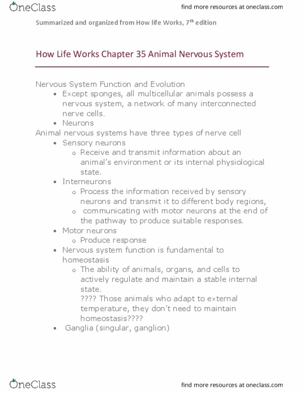 BIOLOGY 152 Chapter Notes - Chapter 35: Neuron, Homeostasis, Nerve Net thumbnail