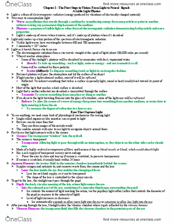 PSYB51H3 Chapter Notes - Chapter 2: Vitreous Body, Retinal Pigment Epithelium, Pupillary Light Reflex thumbnail