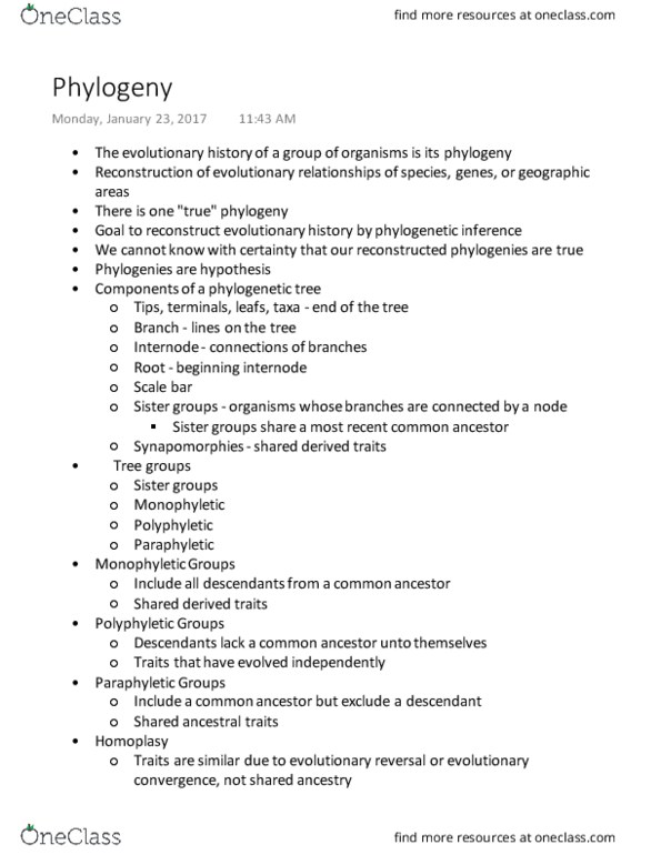 BIOL 150 Lecture Notes - Lecture 3: Synapomorphy, Polyphyly, Paraphyly thumbnail