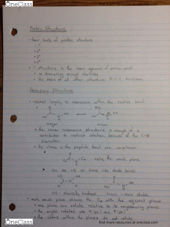 CHEM237 Lecture Notes - Lecture 5: Karl Agathon, Proline, Protein Structure thumbnail