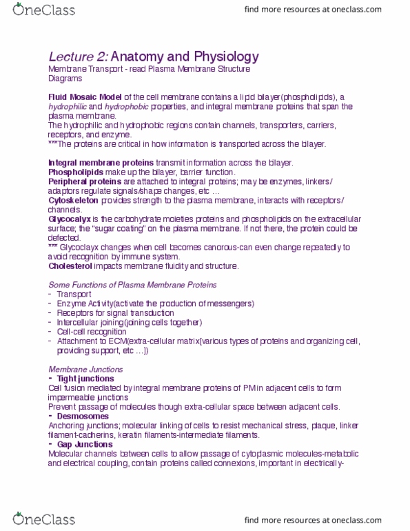 ANP 1105 Lecture Notes - Lecture 2: Lipid Bilayer, Fluid Mosaic Model, Signal Transduction thumbnail