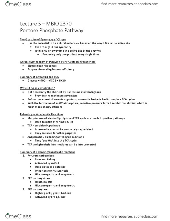 MBIO 2370 Lecture Notes - Lecture 3: Phosphoenolpyruvate Carboxykinase, Pyruvate Carboxylase, Anaplerotic Reactions thumbnail