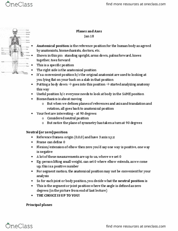 Kinesiology 2241A/B Lecture Notes - Lecture 4: Sagittal Plane, Anatomical Terms Of Motion, Transverse Plane thumbnail