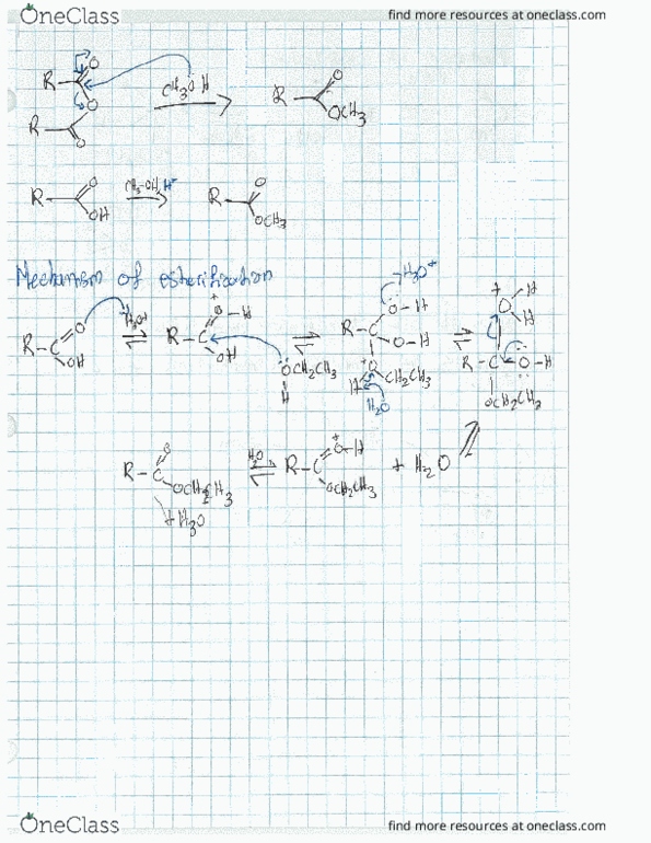 CHEM 222 Lecture 5: 9-Scan-from-a-McGill-uPrint-device-2 thumbnail