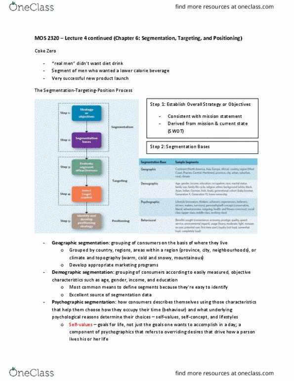 Management and Organizational Studies 2320A/B Lecture Notes - Lecture 4: Geodemographic Segmentation, Psychographic, Loyalty Program thumbnail