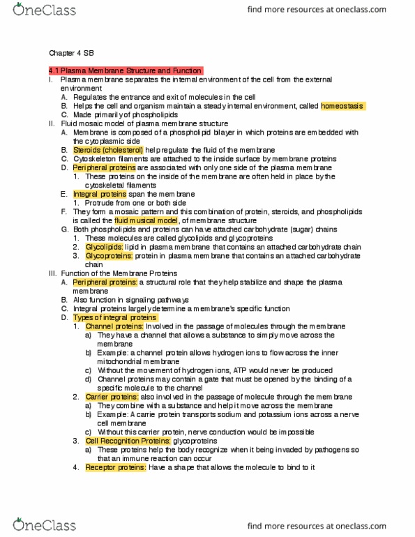 BIOL 1541L Lecture Notes - Lecture 6: Turgor Pressure, Lipid Bilayer, Fluid Mosaic Model thumbnail