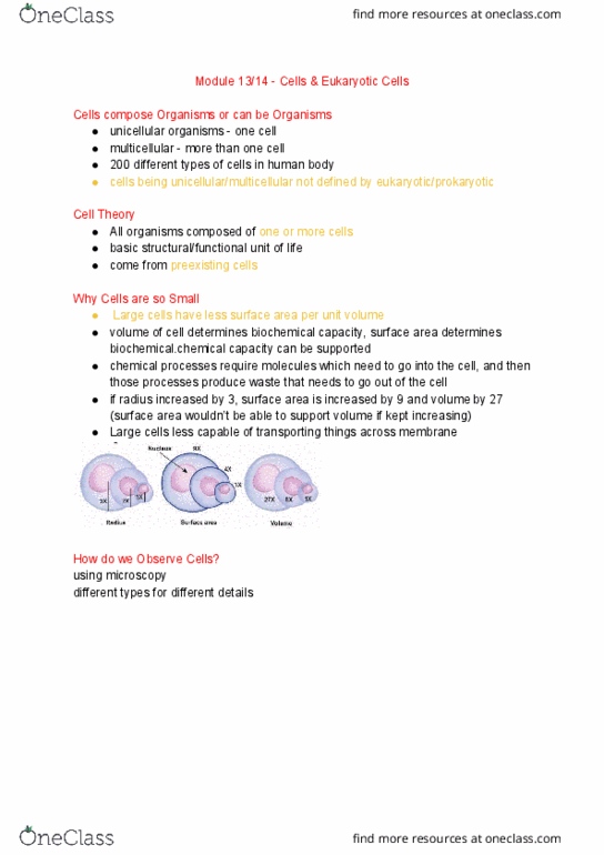 BI110 Chapter Notes - Chapter 13-14: Craig Venter, Nuclear Membrane, Cell Membrane thumbnail