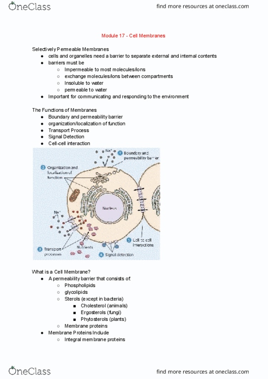 BI110 Chapter Notes - Chapter 17: Integral Membrane Protein, Peripheral Membrane Protein, Fluid Mosaic Model thumbnail