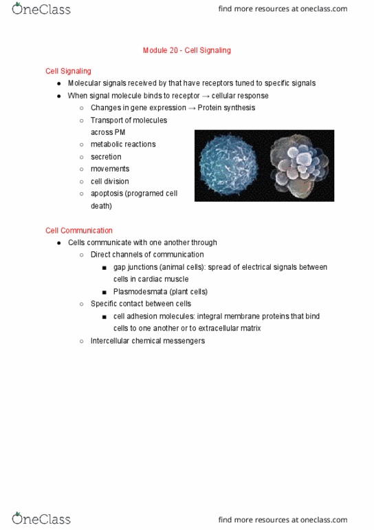 BI110 Chapter Notes - Chapter 20: Steroid Hormone Receptor, Dna-Binding Domain, Cell Signaling thumbnail