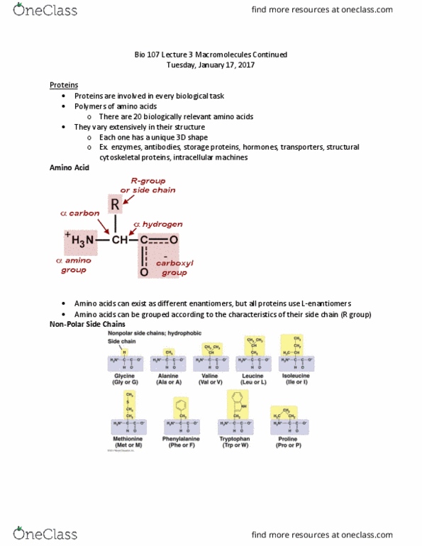 BIOL107 Lecture Notes - Lecture 3: Quaternary, Amine, Chief Operating Officer thumbnail