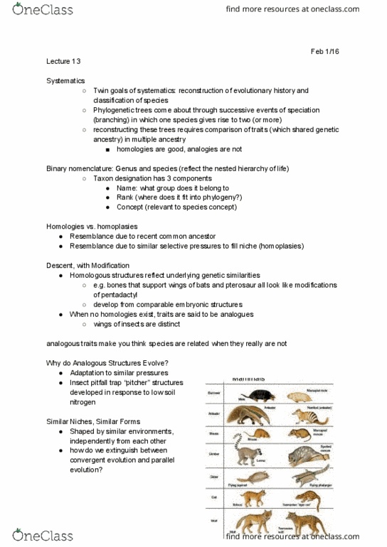 BI111 Lecture Notes - Lecture 13: Pterosaur, Natural Selection, Parallel Evolution thumbnail