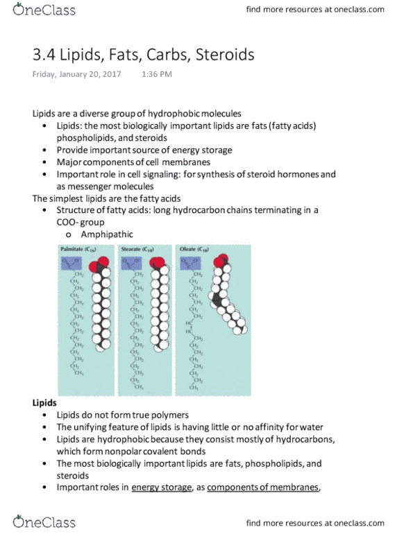 LIFE 120 Lecture Notes - Lecture 4: Glycerol, Phospholipid, Hydrophile thumbnail