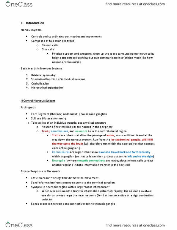 ZOOL342 Lecture Notes - Lecture 1: Midbrain Tectum, Bronchoconstriction, Brainstem thumbnail