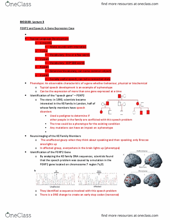 BIO 2133 Lecture Notes - Lecture 3: Neuroimaging, Transcription Factor, Foxp2 thumbnail