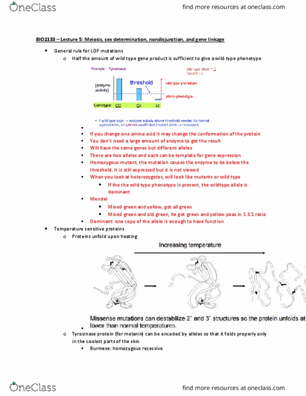 BIO 2133 Lecture Notes - Lecture 5: Lactose Intolerance, Gynaecology, Endocrinology thumbnail