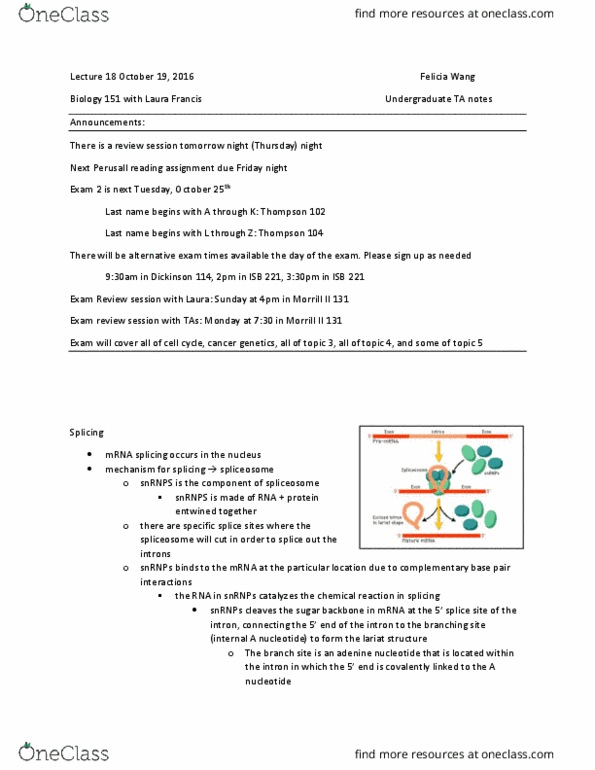 BIOLOGY 151 Lecture Notes - Lecture 18: Exon, Adenine, Spliceosome thumbnail
