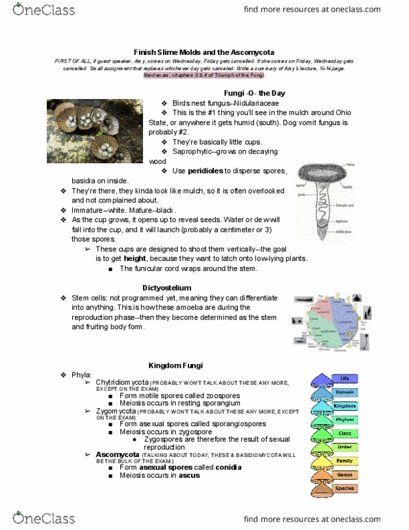 PLNTPTH 2000 Lecture Notes - Lecture 10: Motility, Ascomycota, Ascospore thumbnail