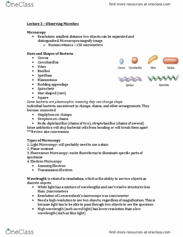 BIOL 319 Lecture Notes - Lecture 3: Peptidoglycan, Coccobacillus, Retina thumbnail