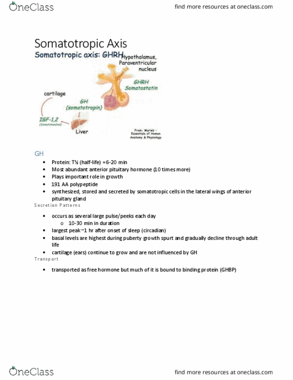 BIOM 3200 Lecture Notes - Lecture 3: Growth Hormone Treatment, Collagen, Ghrelin thumbnail