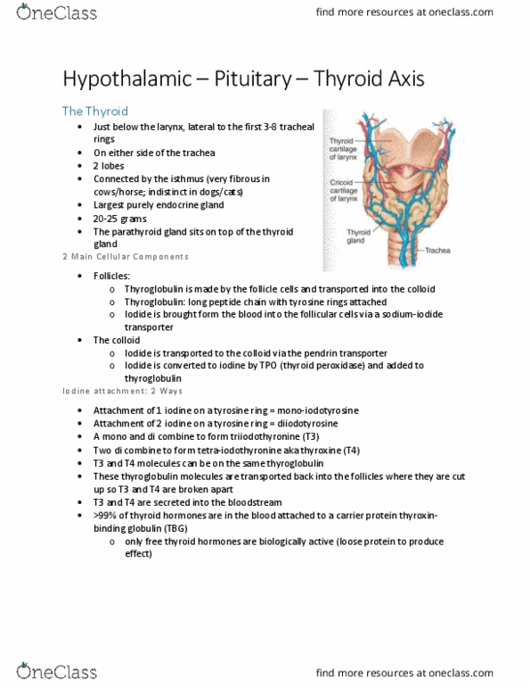 BIOM 3200 Lecture Notes - Lecture 2: Circadian Rhythm, Hypothalamus, Membrane Transport Protein thumbnail