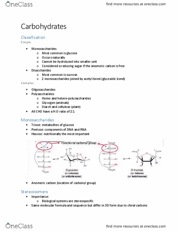 NUTR 3210 Lecture Notes - Lecture 7: Acetyl Group, Cell Wall, Homopolysaccharide thumbnail