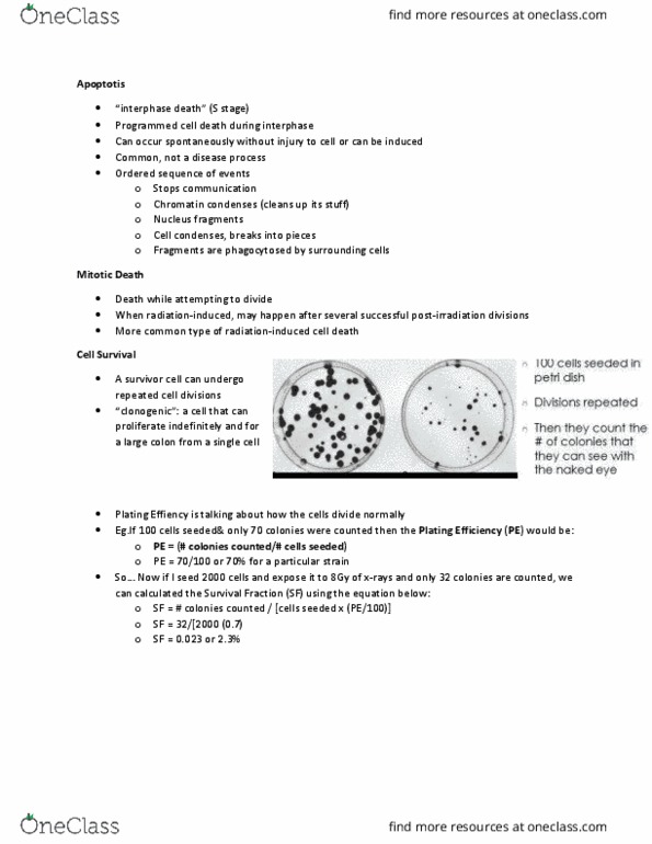 MEDRADSC 2X03 Lecture Notes - Lecture 5: Interphase, Srf 1, Radioresistance thumbnail