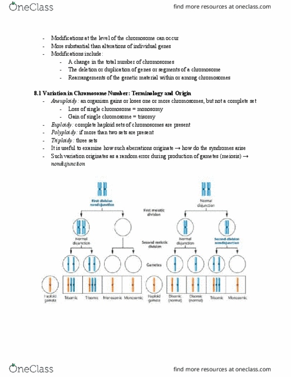 BIO 2133 Chapter Notes - Chapter 8.1-8.4: Monosomy, Edwards Syndrome, Nondisjunction thumbnail